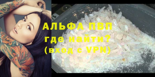 тгк Белокуриха